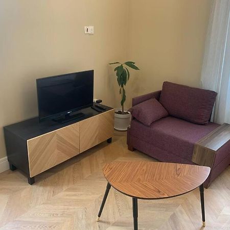 Appartement Centre Ville Historique - Le Modene ヴィエンヌ エクステリア 写真