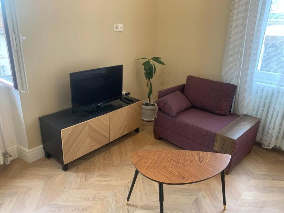 Appartement Centre Ville Historique - Le Modene ヴィエンヌ エクステリア 写真